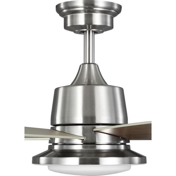 Tarsus 52" Ceiling Fan-Fans-Progress Lighting-Lighting Design Store