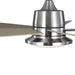 Tarsus 52" Ceiling Fan-Fans-Progress Lighting-Lighting Design Store