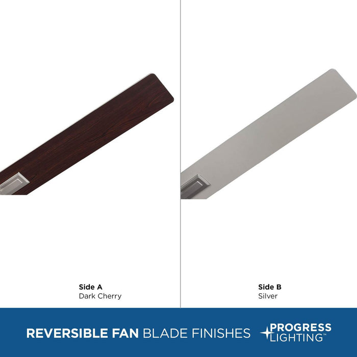 Dallam 60" Ceiling Fan-Fans-Progress Lighting-Lighting Design Store