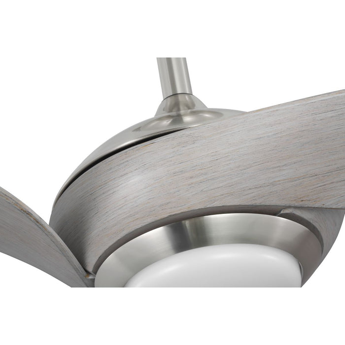 Conte 52" Ceiling Fan-Fans-Progress Lighting-Lighting Design Store