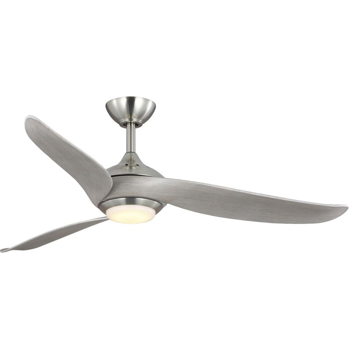 Conte 52" Ceiling Fan-Fans-Progress Lighting-Lighting Design Store
