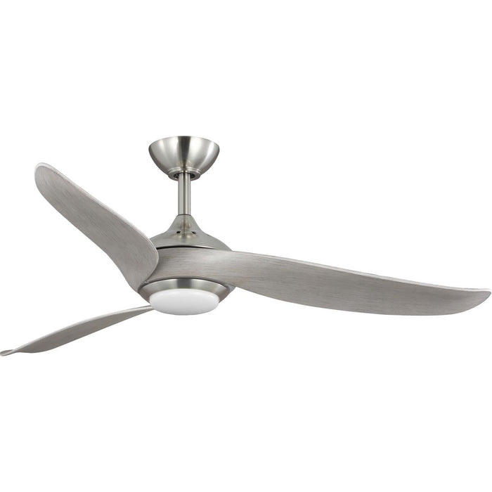 Conte 52" Ceiling Fan-Fans-Progress Lighting-Lighting Design Store