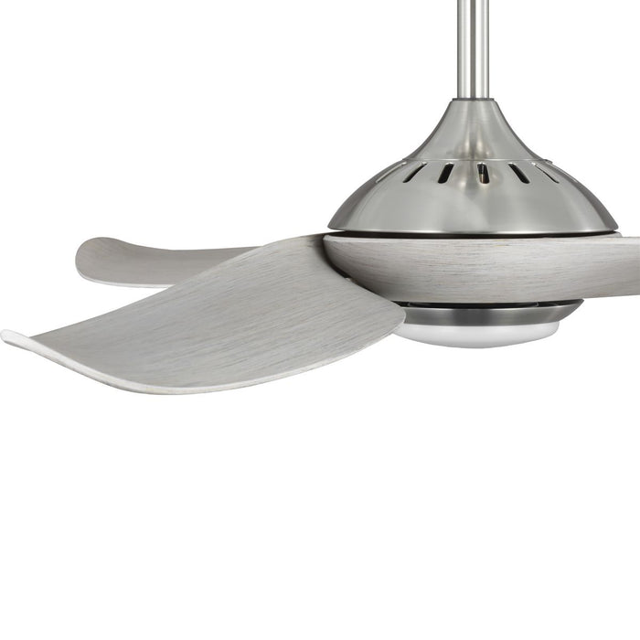 Conte 52" Ceiling Fan-Fans-Progress Lighting-Lighting Design Store