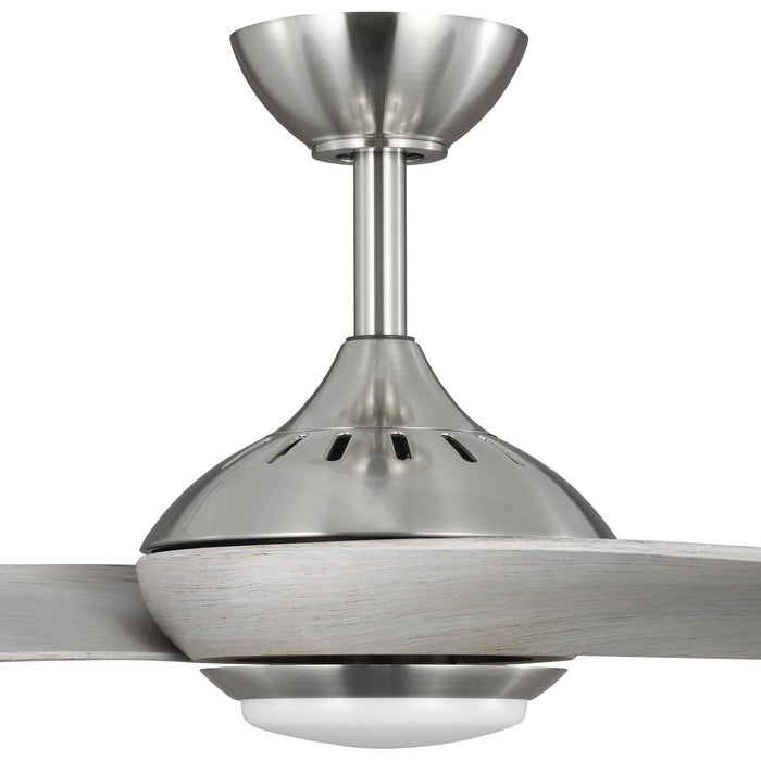 Conte 52" Ceiling Fan-Fans-Progress Lighting-Lighting Design Store