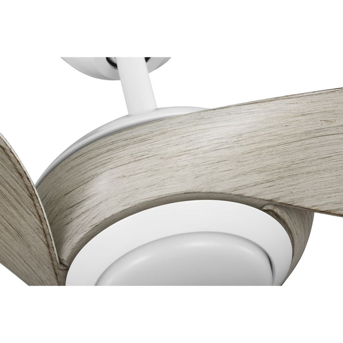 Conte 52" Ceiling Fan-Fans-Progress Lighting-Lighting Design Store