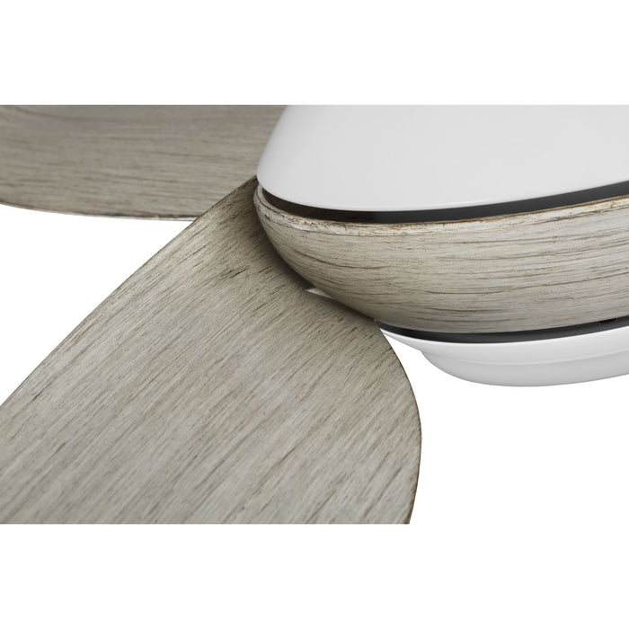 Conte 52" Ceiling Fan-Fans-Progress Lighting-Lighting Design Store