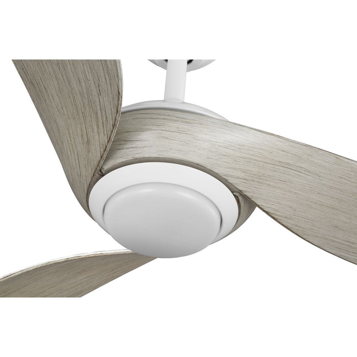 Conte 52" Ceiling Fan-Fans-Progress Lighting-Lighting Design Store