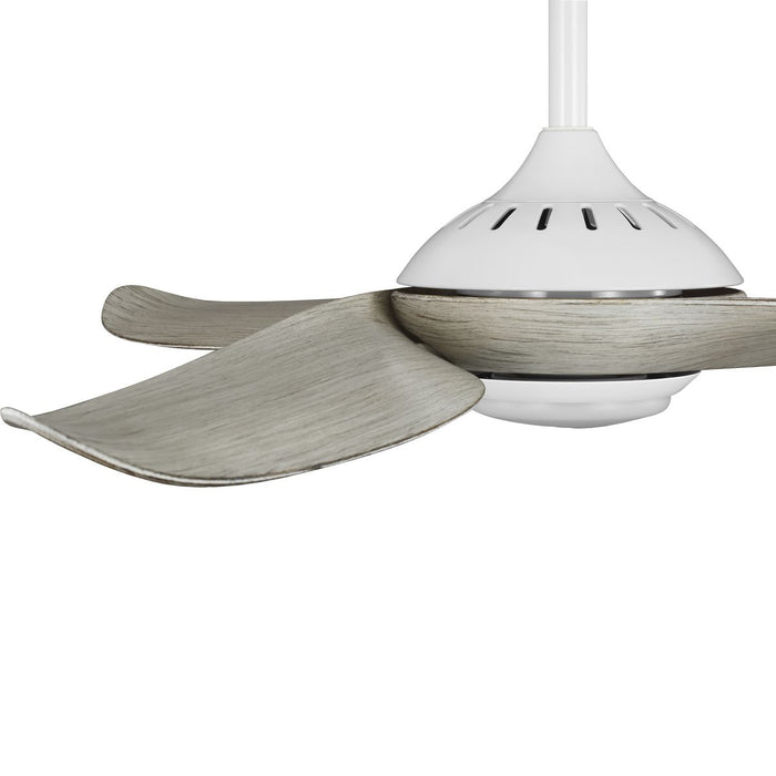 Conte 52" Ceiling Fan-Fans-Progress Lighting-Lighting Design Store