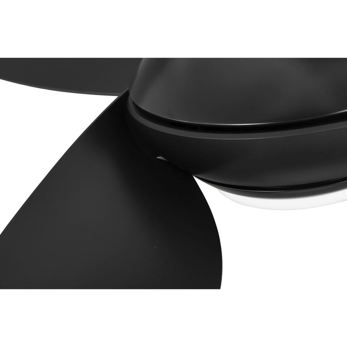 Conte 52" Ceiling Fan-Fans-Progress Lighting-Lighting Design Store