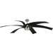 Insigna 72" Ceiling Fan-Fans-Progress Lighting-Lighting Design Store