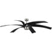 Insigna 72" Ceiling Fan-Fans-Progress Lighting-Lighting Design Store