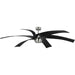 Insigna 72" Ceiling Fan-Fans-Progress Lighting-Lighting Design Store