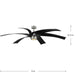 Insigna 72" Ceiling Fan-Fans-Progress Lighting-Lighting Design Store