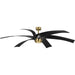 Insigna 72" Ceiling Fan-Fans-Progress Lighting-Lighting Design Store