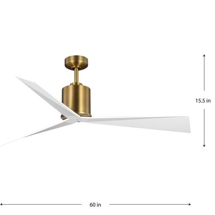 Paso 60" Ceiling Fan-Fans-Progress Lighting-Lighting Design Store