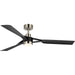 Belen 60" Ceiling Fan-Fans-Progress Lighting-Lighting Design Store