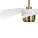 Insigna 60" Ceiling Fan-Fans-Progress Lighting-Lighting Design Store