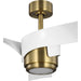 Insigna 60" Ceiling Fan-Fans-Progress Lighting-Lighting Design Store
