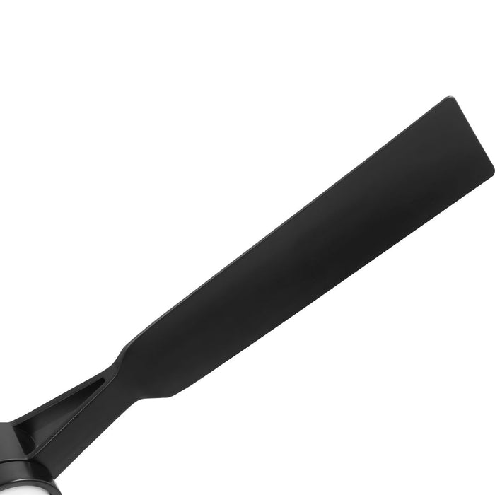 Belen 60" Ceiling Fan-Fans-Progress Lighting-Lighting Design Store