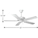 Airpro Performance 52" Ceiling Fan-Fans-Progress Lighting-Lighting Design Store
