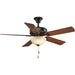 Airpro Performance 52" Ceiling Fan-Fans-Progress Lighting-Lighting Design Store