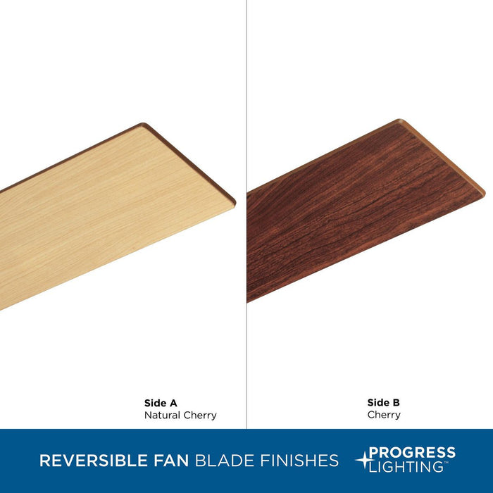 North Park 52" Ceiling Fan-Fans-Progress Lighting-Lighting Design Store