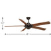 Ellwood 68" Ceiling Fan-Fans-Progress Lighting-Lighting Design Store
