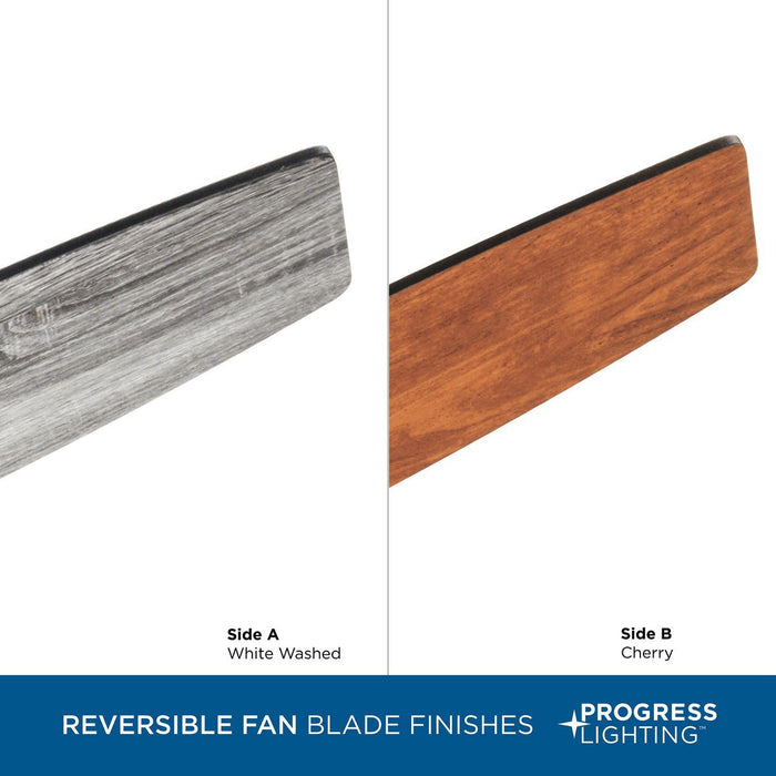 Gaze 60" Ceiling Fan-Fans-Progress Lighting-Lighting Design Store