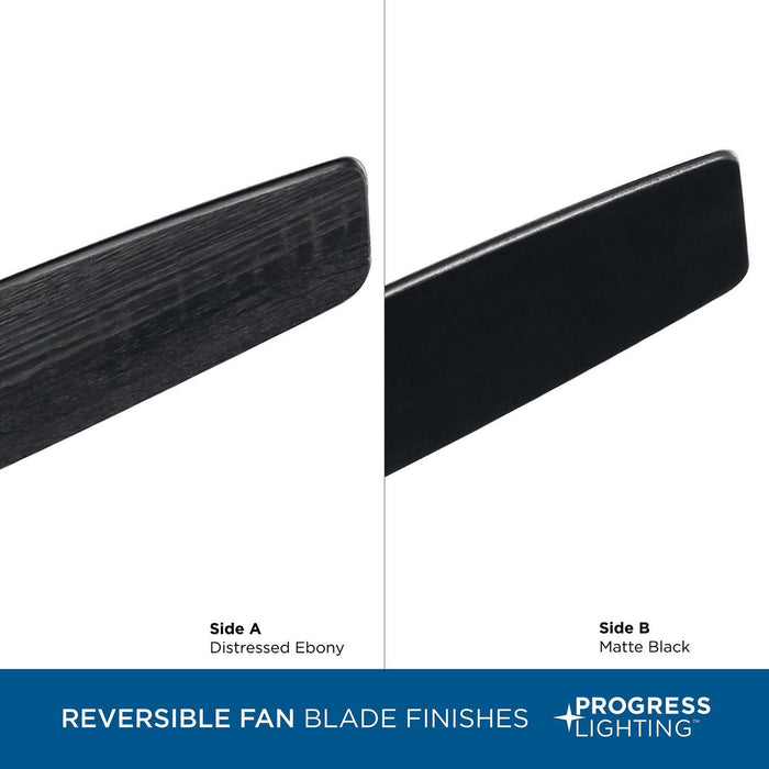 Gaze 60" Ceiling Fan-Fans-Progress Lighting-Lighting Design Store