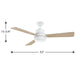 Trevina 52" Ceiling Fan-Fans-Progress Lighting-Lighting Design Store