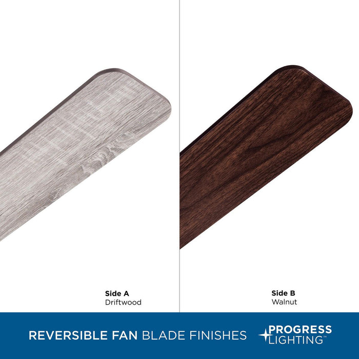 Greer 54" Ceiling Fan-Fans-Progress Lighting-Lighting Design Store