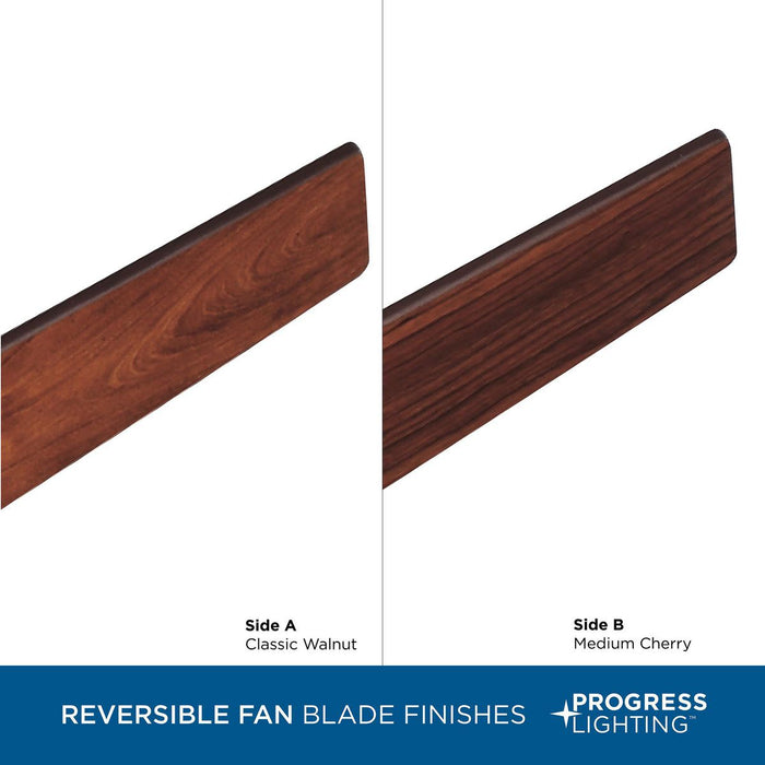 Braden 56" Ceiling Fan-Fans-Progress Lighting-Lighting Design Store