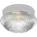 Fitter Flush Mount-Flush Mounts-Progress Lighting-Lighting Design Store