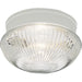 Fitter Flush Mount-Flush Mounts-Progress Lighting-Lighting Design Store