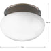 Fitter Flush Mount-Flush Mounts-Progress Lighting-Lighting Design Store