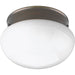 Fitter Flush Mount-Flush Mounts-Progress Lighting-Lighting Design Store