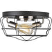 Gauge Flush Mount-Flush Mounts-Progress Lighting-Lighting Design Store