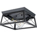 Briarwood Flush Mount-Flush Mounts-Progress Lighting-Lighting Design Store