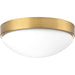 Elevate LED Flush Mount-Flush Mounts-Progress Lighting-Lighting Design Store