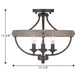 Gulliver Semi-Flush Convertible-Semi-Flush Mts.-Progress Lighting-Lighting Design Store