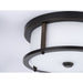 Mast Flush Mount-Flush Mounts-Progress Lighting-Lighting Design Store