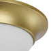 One Light Flush Mount-Flush Mounts-Progress Lighting-Lighting Design Store