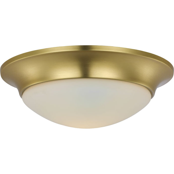 One Light Flush Mount-Flush Mounts-Progress Lighting-Lighting Design Store