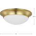 Two Light Flush Mount-Flush Mounts-Progress Lighting-Lighting Design Store