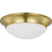 Two Light Flush Mount-Flush Mounts-Progress Lighting-Lighting Design Store