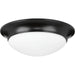 Two Light Flush Mount-Flush Mounts-Progress Lighting-Lighting Design Store
