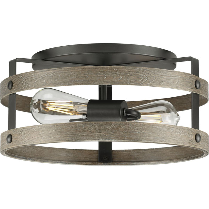 Gulliver Flush Mount-Flush Mounts-Progress Lighting-Lighting Design Store