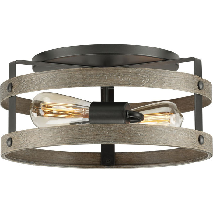 Gulliver Flush Mount-Flush Mounts-Progress Lighting-Lighting Design Store
