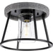 Laramie Flush Mount-Flush Mounts-Progress Lighting-Lighting Design Store