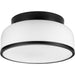 Parkhurst Flush Mount-Flush Mounts-Progress Lighting-Lighting Design Store